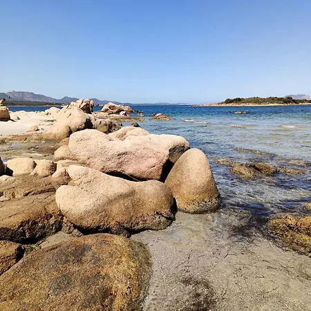 Sorella Luna Boutique, Centro Di Guest house Olbia